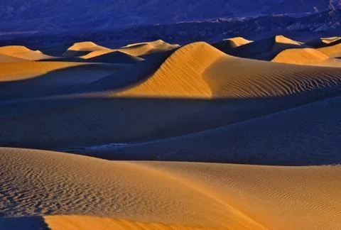 Sand dunes Stock Photos