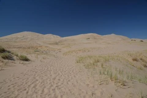 Sand dunes Stock Photos