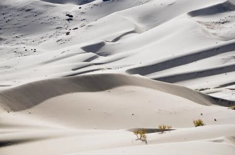 Sand dunes Stock Photos