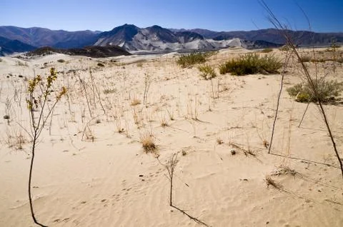 Sand dunes Stock Photos