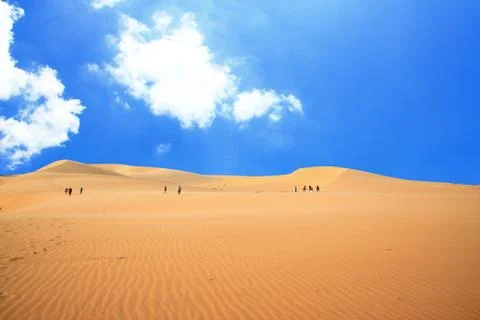 Sand dunes Stock Photos