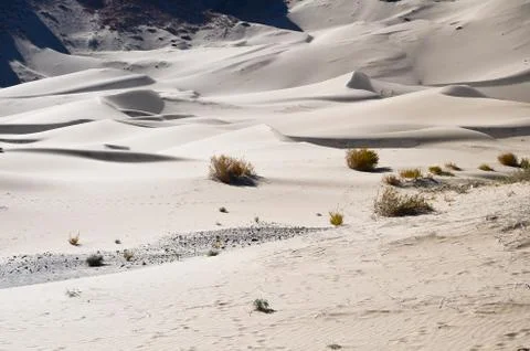 Sand dunes Stock Photos