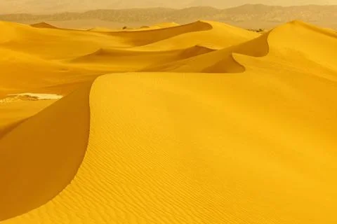 Sand dunes 스톡 사진