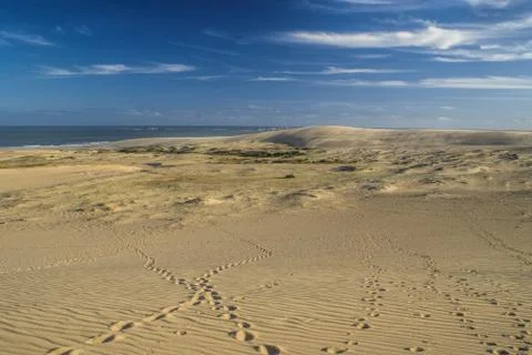 Sand dunes Stock Photos