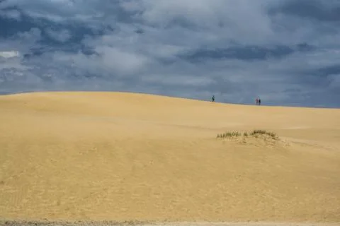 Sand dunes Foto stock