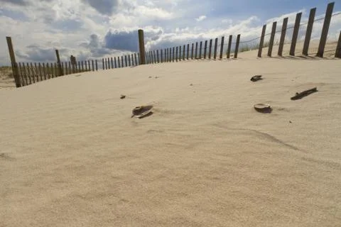 Sand dunes. Stock Photos