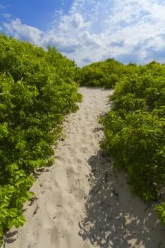 Sand dunes Stock Photos