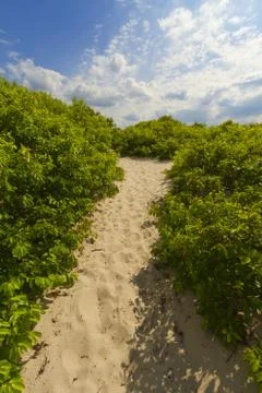 Sand dunes Stock Photos