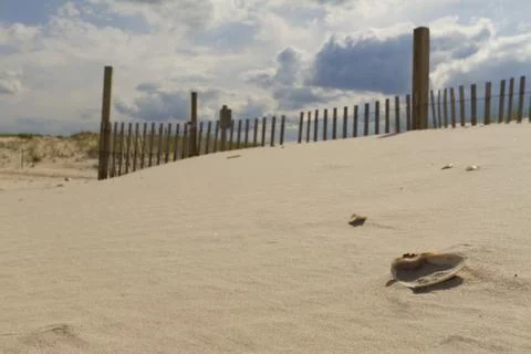 Sand dunes. Stock Photos