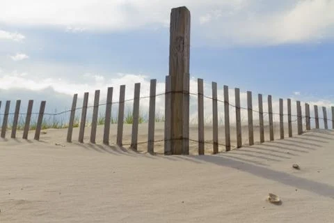 Sand dunes. Stock Photos