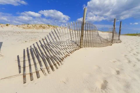 Sand dunes. Stock Photos