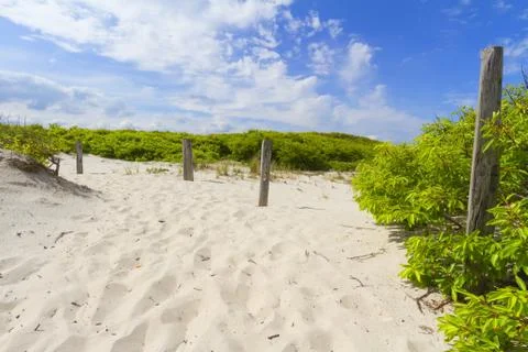 Sand dunes Foto stock