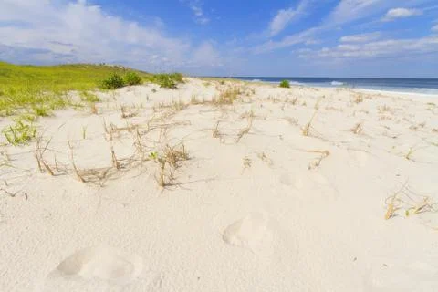 Sand dunes Stock Photos