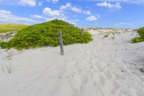Sand dunes Stock Photos