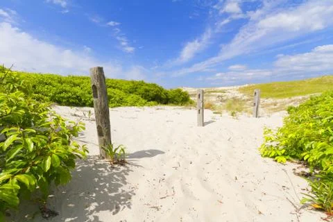 Sand dunes Stock Photos