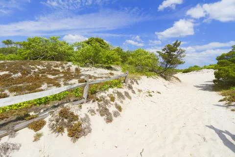 Sand dunes Stock Photos