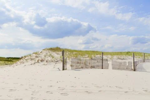 Sand dunes. Stock Photos