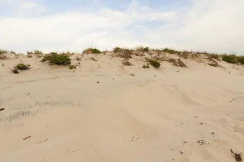 Sand dunes Foto stock