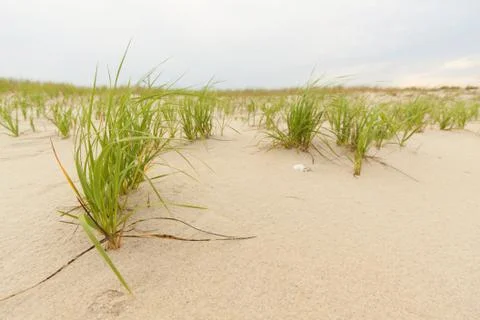 Sand dunes Stock Photos