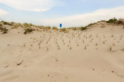Sand dunes Foto stock