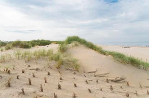 Sand dunes Stock Photos