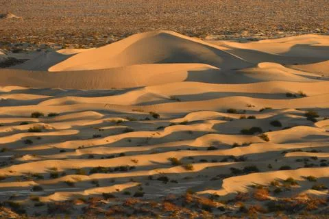 Sand dunes Stock Photos