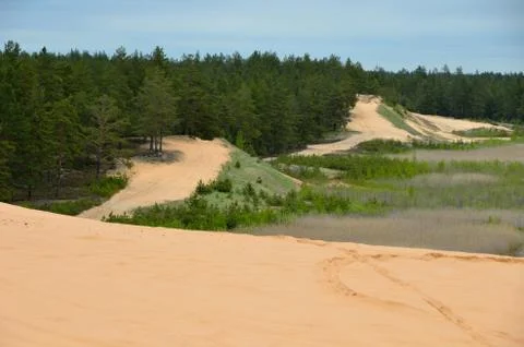 Sand dunes. Stock Photos