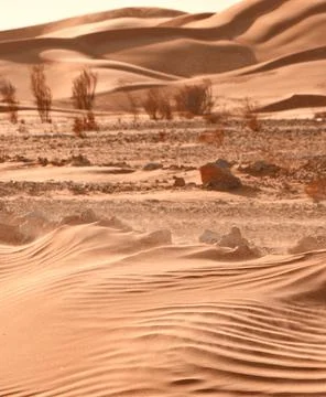 Sand dunes Stock Photos