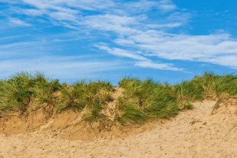 Sand dunes Stock Photos