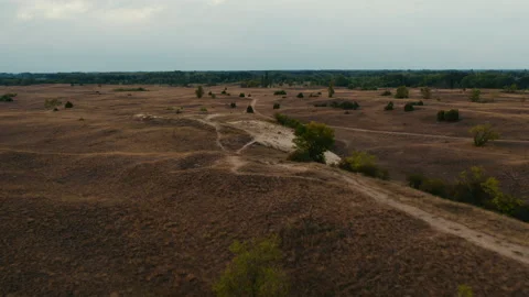 Sand dunes with plants at sunset Stock Footage 232644986