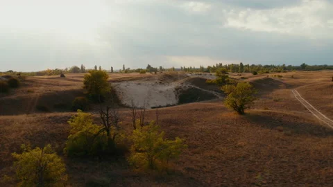 Sand dunes with plants at sunset Stock Footage 232647842