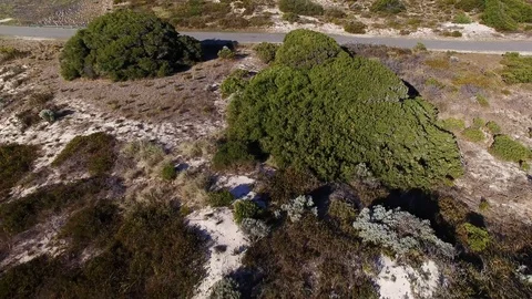 Sand dunes sandy beach ocean flyover - Australia Stock Footage 106985278