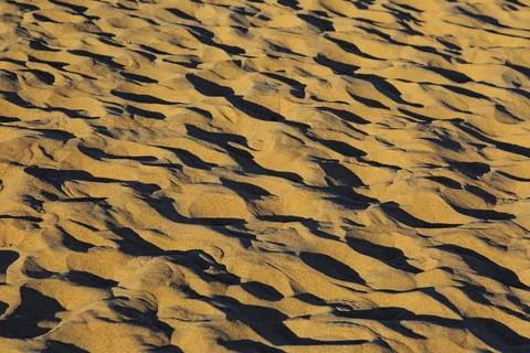 Sand dunes with shadows Foto stock