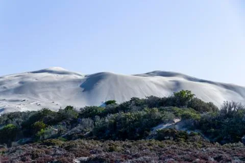 Sand dunes, South Australia Stock Photos