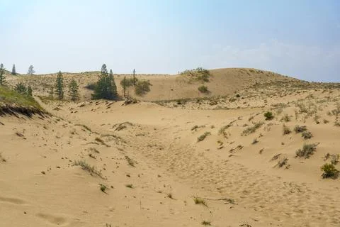 Sand dunes with sparse vegetation under a clear sky Stock Photos