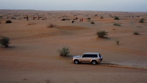 Sand dunes at sunset. Dubai. Stock Footage 93019232