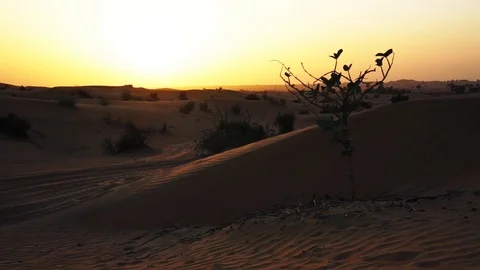 Sand dunes at sunset. Dubai. Stock Footage 93019257