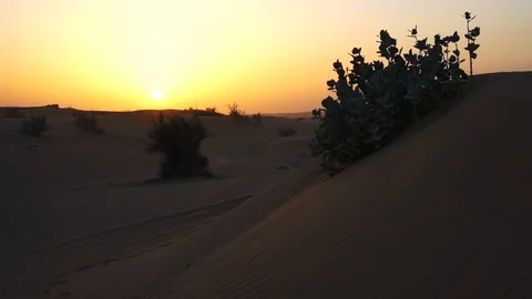 Sand dunes at sunset. Dubai. Stock Footage 93020099
