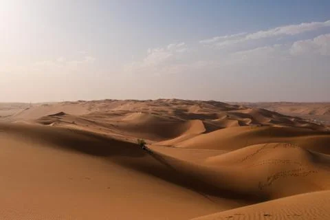 Sand dunes at sunset in the Empty Quarter (Rub' al Khali) Saudi Arabia Foto stock