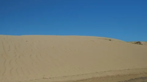 Sand dunes under blue sky. Stock Footage 87721485