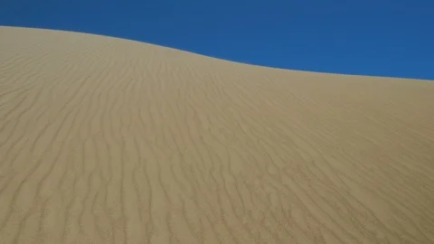 Sand dunes under blue sky. Stock Footage 87721500