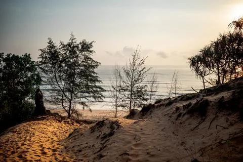 Sand Dunes view Stock Photos