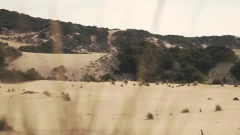 Sand Dunes. A View Through Sand Grass. Desert Stock Footage 150511930