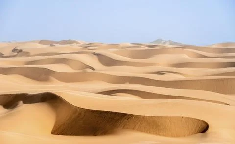 Sand dunes with wave patterns, dune sea, sandy desert, impressive desert Stock Photos