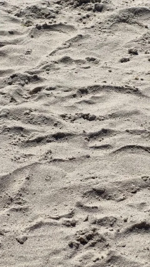 Sand Dunes, wind and shadows at holidays, Lithuania, Palanga Stock Footage 312986479