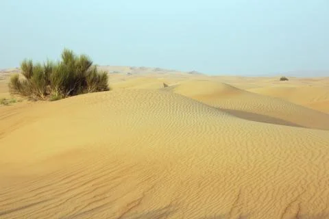 Sand dunes with wind marks Stock Photos
