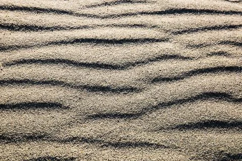 Sand dunes. Wind pattern on the sand, desert, dunes. The texture of the sand. Stockfoto's