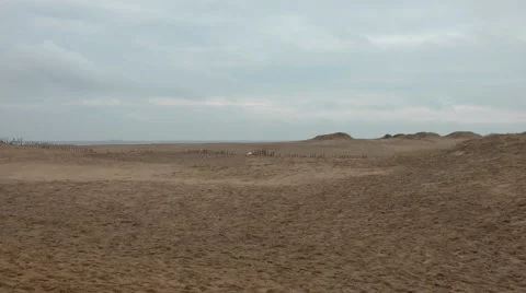 Sand dunes in winter with strong wind blowing Stock-Footage 1091917
