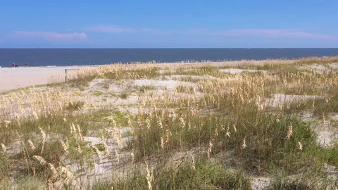 Sand Duns of Tybee Stockbeeldmateriaal 95856134