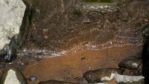Sand on the edge of the river that moves with the water Stock Footage 292837576